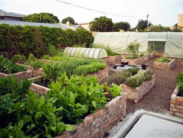Schulphoek Seafront Guest House - garden